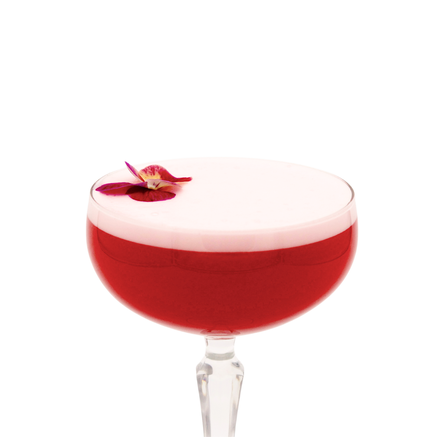 Onis SPKSY Coupe Champagne