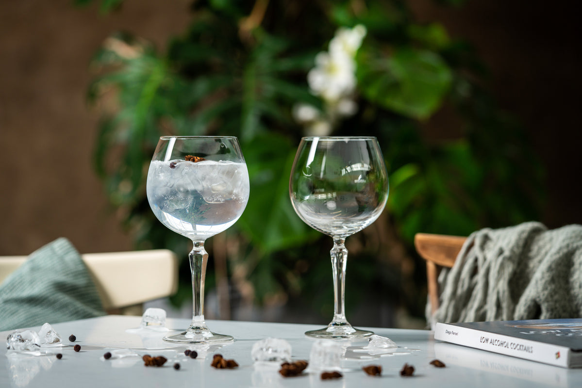 Onis SPKSY Gin & Tonic Glass 580 ml - Balloon Gin Glass